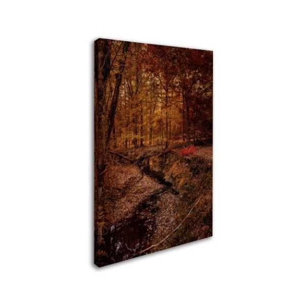 Jai Johnson 'Shiloh Creek 5' Canvas Art,22x32